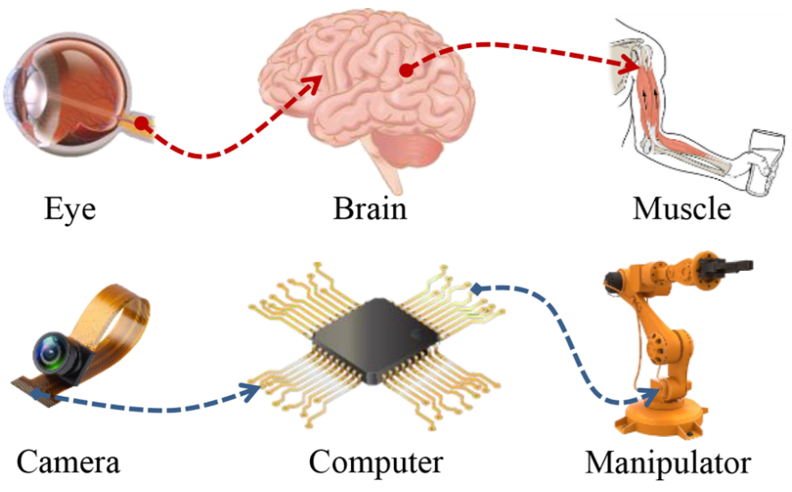 Robot learning towards smart robotic manufacturing: A review